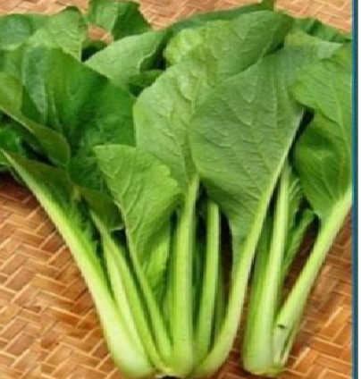 Rau cải ngọt hữu cơ