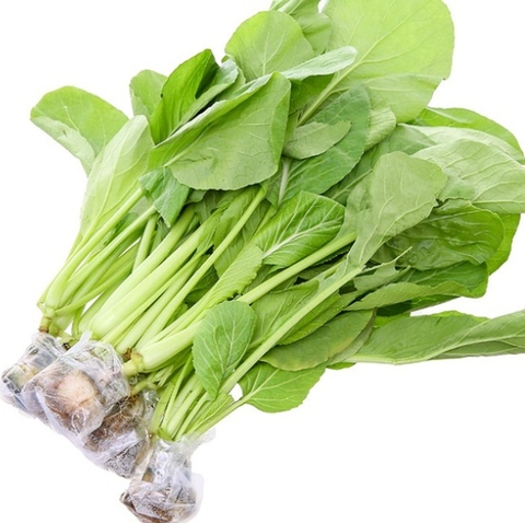 Rau cải ngọt hữu cơ