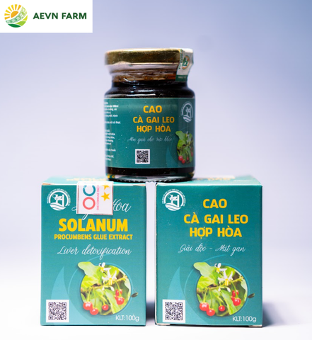 Cao gai leo Hợp Hòa