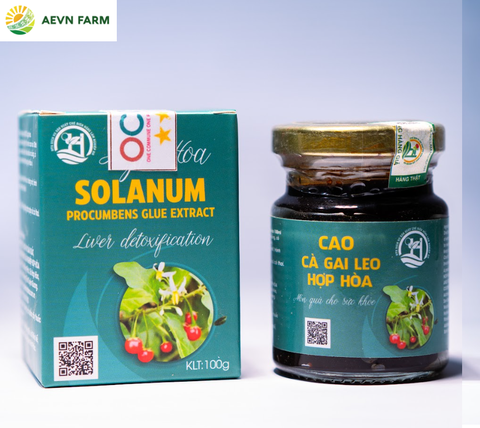 Cao gai leo Hợp Hòa
