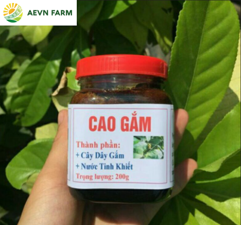Cao Gắm