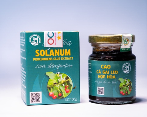 Cao cà gai leo Hợp Hoà