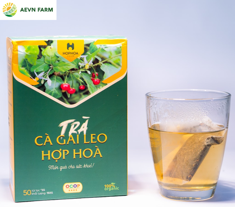 Trà Cà gai leo Hợp Hòa