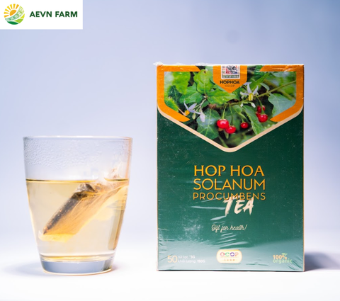 Trà Cà gai leo Hợp Hòa