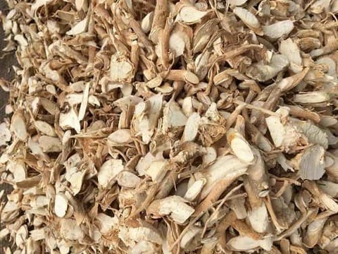 Đinh lăng sấy khô 2kg