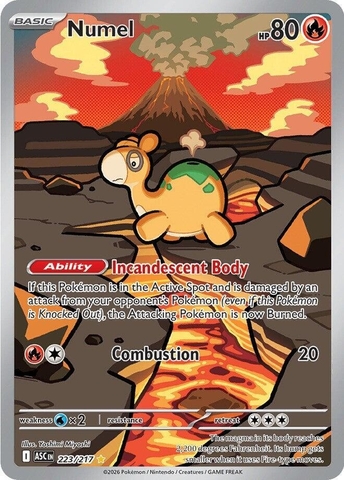 Thẻ hình Pokemon Numel 223/217 - Lá bài lẻ Ascended Heroes Illustration Rare tiếng Anh chính hãng