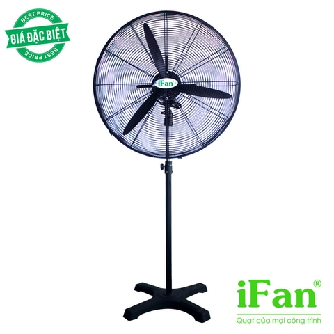 Quạt đứng công nghiệp IFAN NS65