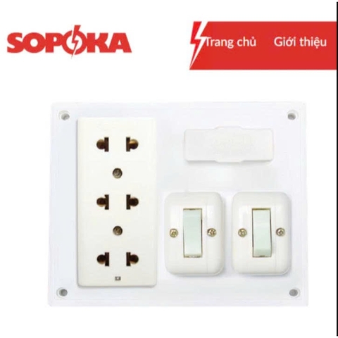 Bảng điện Sopoka BN2E