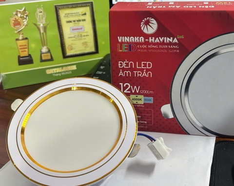 Đèn LED âm trần 12W- Ø110 - 3 chế độ (viền vàng)
