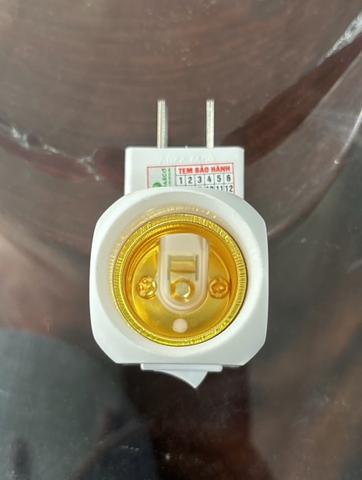 Đui công tắc 4A/250V