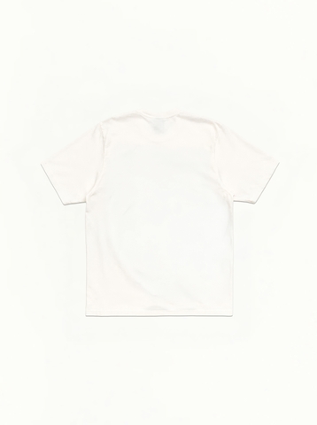 TEST 109