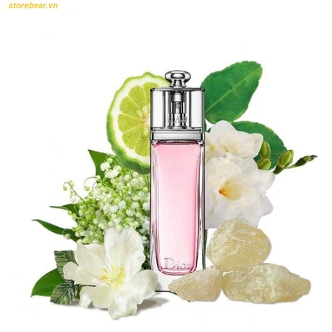 Nước Hoa Dior Addict Eau Fraiche EDT Fullbox 100ml