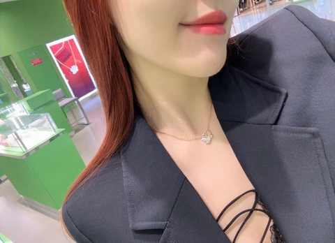 SWAROVSKI Swan pendant (White, Gold-tone plated) - Dây cổ, chuyền thiên nga cặp đôi, đính pha lê - JEWELRY NECKLACE