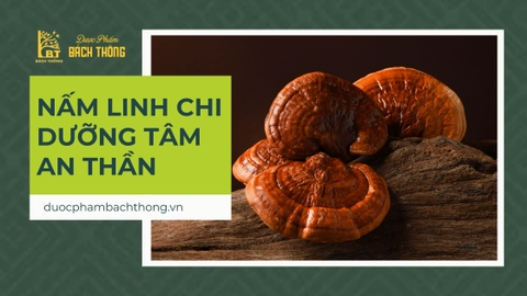 Nấm linh chi dưỡng tâm, an thần