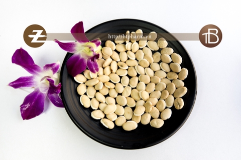 Bạch biển đậu