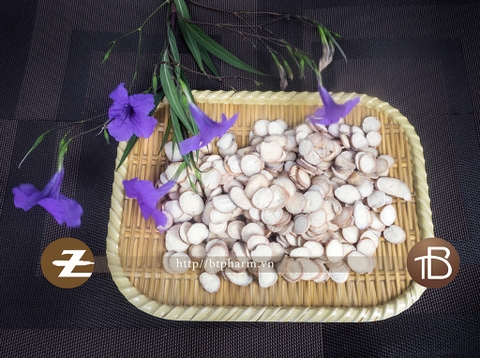 Bạch Thược phiến