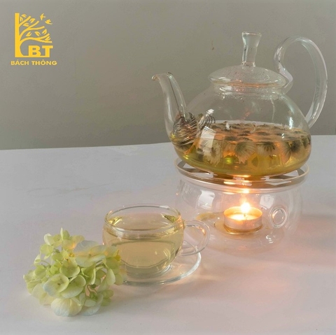 Cúc nụ - Cúc bao tử