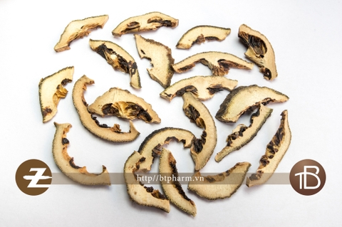 Chỉ Xác phiến