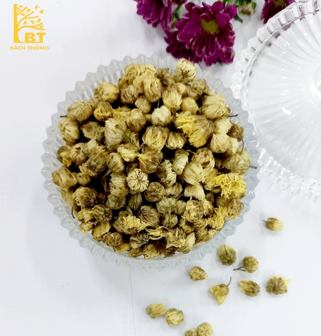 Cúc nụ - Cúc bao tử