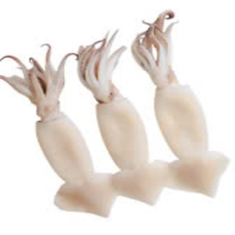 Mực ống làm sạch