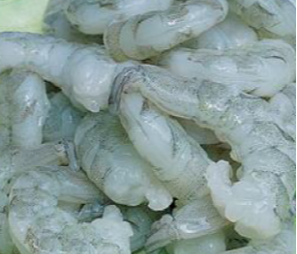 Tôm thịt bóc nõn