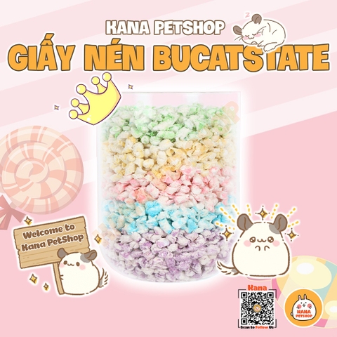 Giấy lót Hamster 🐹FREESHIP🐹 Giấy Lót Carefresh CHIPSI 80G Chính Hãng Cho Hamster, Sóc, Nhím ....