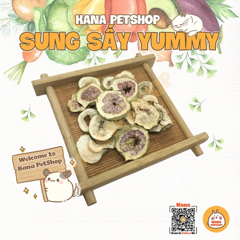 Sung Mỹ Sấy Khô 🐹FREESHIP🐹 20G Sung Sấy Lạnh Thức Ăn cho Thỏ, Bọ, Hamster, Sóc và Chinchilla