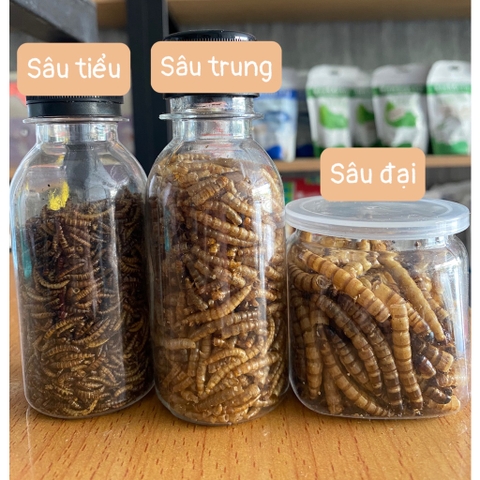 Sâu Sấy Hamster 🐹FREESHIP🐹 1KG Thức Ăn Sâu Superworm Đại Rang Bơ Dinh Dưỡng Bổ Sung Canxi Hamter , Nhím , Chim