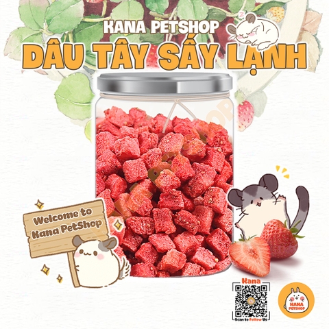 Bột Làm Bánh Hamster 🐹FREESHIP🐹 Bột Trái Cây Thái Lan Làm Bánh Thức Ăn Dặm Dinh Dưỡng Cho Hamster, Sóc, Sóc Bay Úc