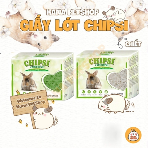 Giấy lót Hamster 🐹FREESHIP🐹 Giấy Lót Carefresh CHIPSI 80G Chính Hãng Cho Hamster, Sóc, Nhím ....