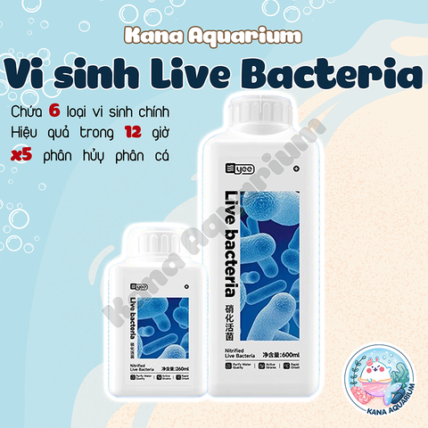 Vi Sinh Cao Cấp Thế Hệ Thứ 5 Yee Live Bacteria 🐟 FREESHIP 🐟 Vi Sinh Làm Sạch Và Trong Nước Bể Cá