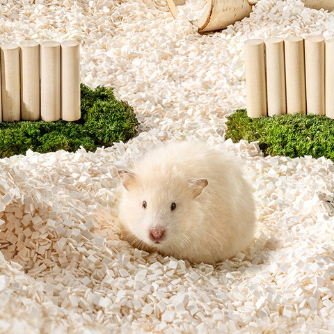 Lót Chuồng Hamster 🐹FREESHIP🐹 Giấy Sữa Vuông Không Bụi Siêu Thấm Lót Chuồng Hamster, WinterWhite, Bear, Robo, Rat ...