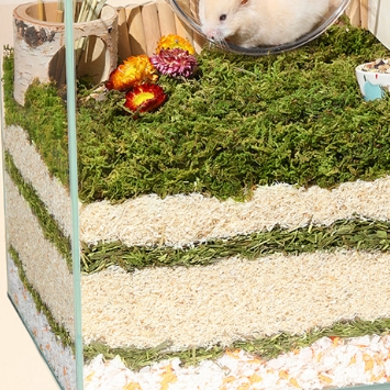 Lót Chuồng Gỗ Dương Nhung Yee 🐹FREESHIP🐹 Mùn Gỗ Dương Nhung Khửi Mùi Tạo Hình Hang Đào Cho Hamster Bear, WinterWhite