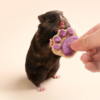 Bánh Mài Răng Hamster 🐹FREESHIP🐹 Bánh Thịt Xay Sấy Khô Dinh Dưỡng Cho Hamster, Sóc và Thú Cưng Khác