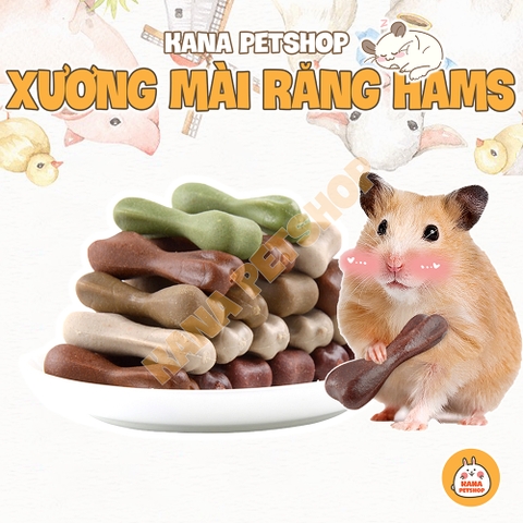 Xương Làm Sạch Răng Hamster 🐹FREESHIP🐹 Xương Mài Răng RunAround Giúp Thơm Miệng Cho Hamster, Sóc, Nhím v.v