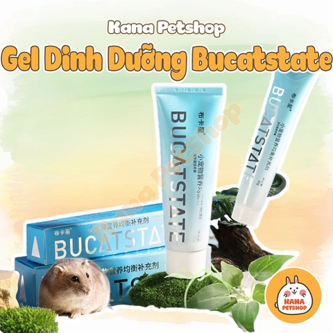 Gel Dinh Dưỡng Bucatstate 🐹FREESHIP🐹 Kem Bổ Sung Dinh Dưỡng Làm Mượt Lông Cho Hamster, Sóc, Thú Nhỏ