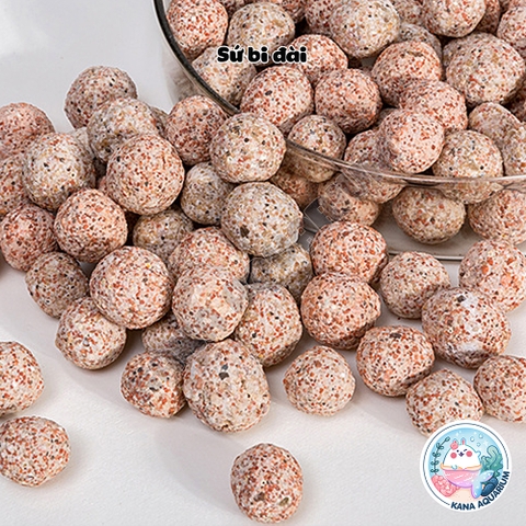 200G -500g Sứ Bi Đài 🐟 FREESHIP 🐟 Vật Liệu Lọc Cao Cấp Hỗ Trợ Nuôi Vi Sinh Lọc Hiệu Quả Bể Thủy Sinh