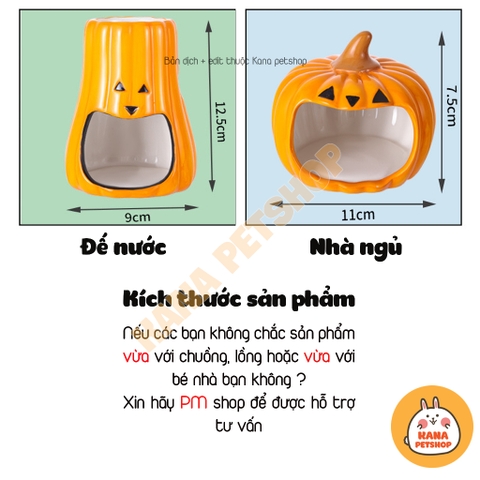 Set Nhà Sứ Hình Bí Ngô Đáng Yêu Cho Hamster 🐹FREESHIP🐹 Giảm Nhiệt, Trang Trí Độc Đáo Lồng Hamster