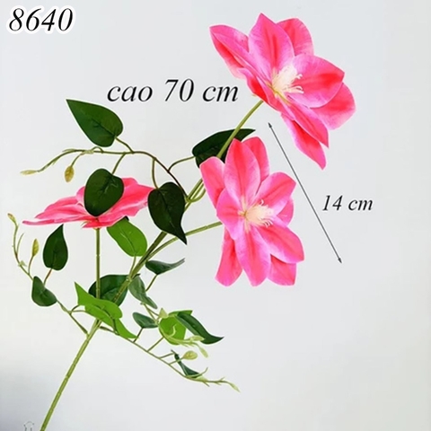 Cành hoa ông lão Hồng Đỏ TQ
