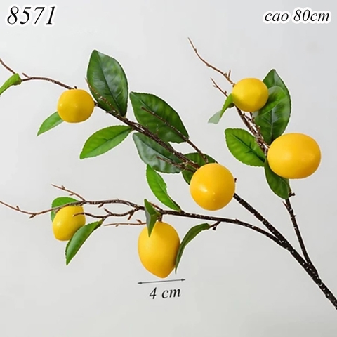 Cành 6 quả chanh TQ
