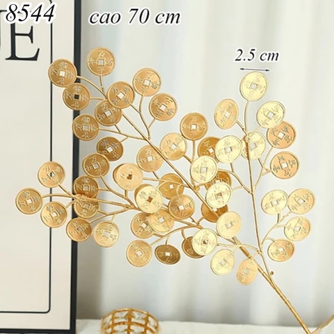 Cành vàng lá đồng xu TQ