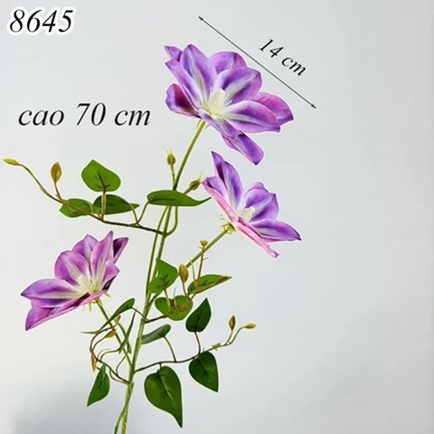Cành hoa ông lão Tím TQ