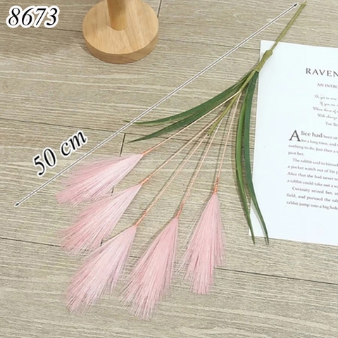 Cành cỏ lau  Hồng TQ