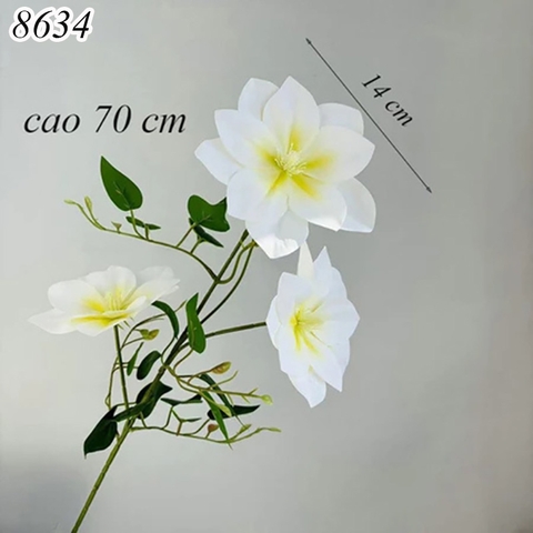 Cành hoa ông lão Trắng TQ