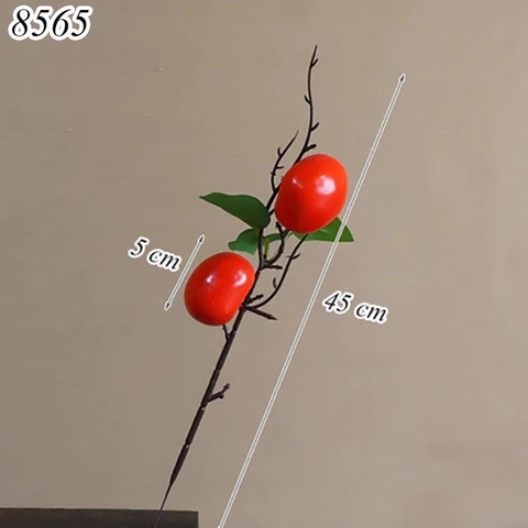 Cành 2 quả hồng TQ