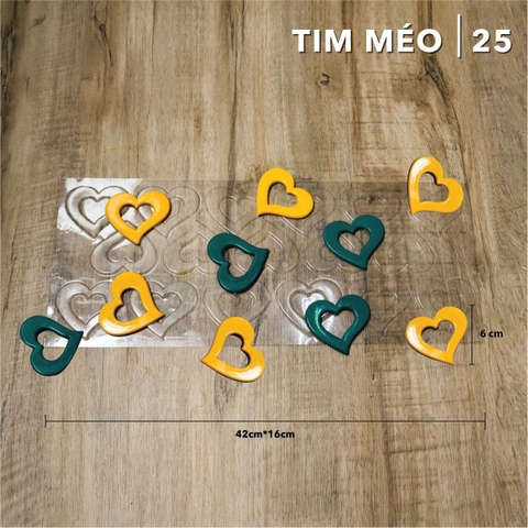 Khuôn định hình trong tim méo R25