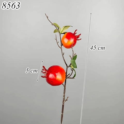 Cành 2 quả lựu đỏ TQ