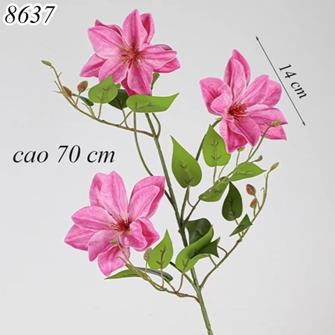 Cành hoa ông lão Hồng Tím TQ