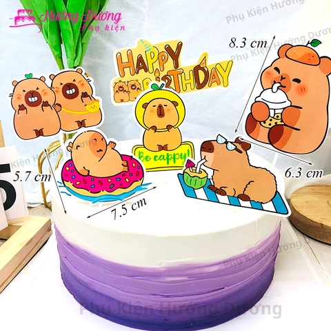 SCG-Set cắm Capybara TP