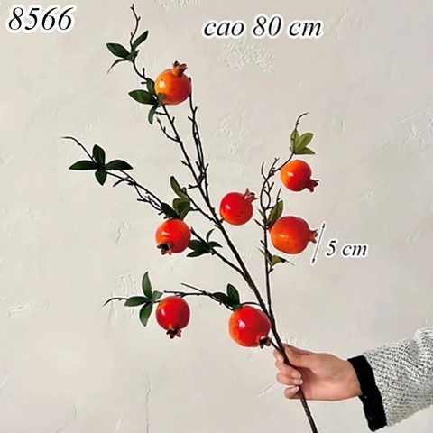 Cành 7 quả lựu đỏ TQ